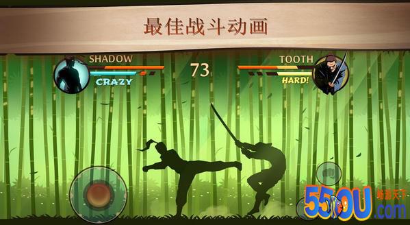 暗影格斗2