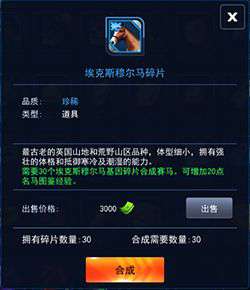 《马场大亨》攻略丨马场新人