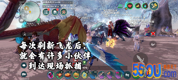 《创造与魔法》抓捕飞龙时必要的技巧与注意事项！