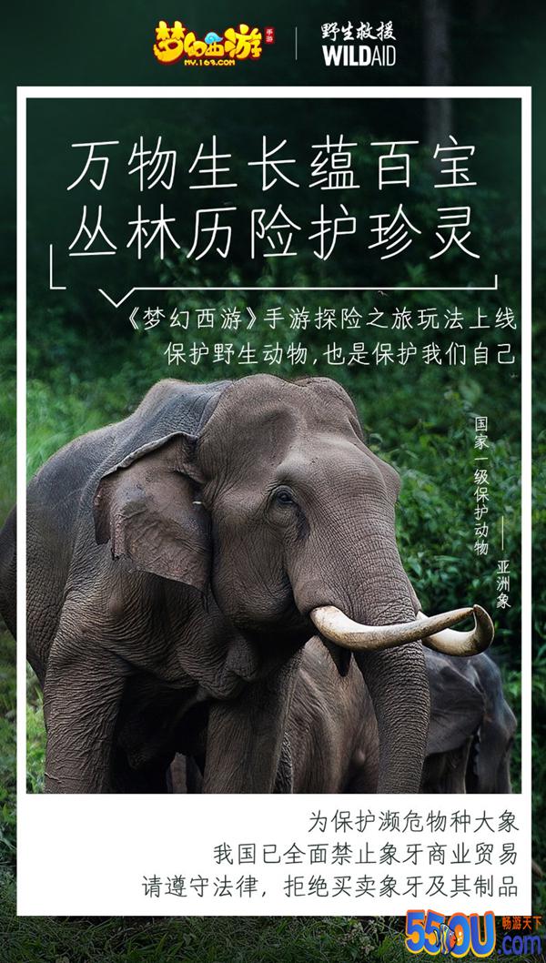 《梦幻西游》手游WildAid打造野生动物保护