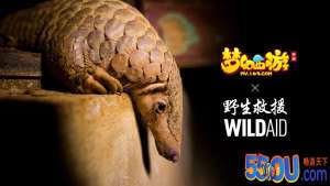 《梦幻西游》手游WildAid打造野生动物保护