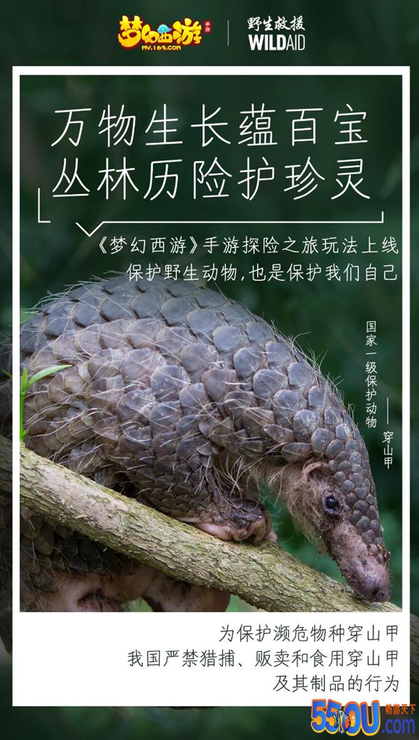 《梦幻西游》手游WildAid打造野生动物保护
